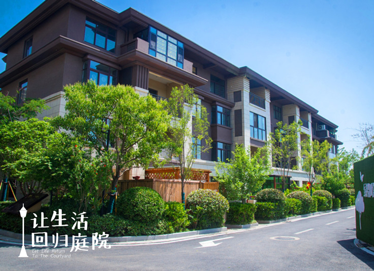 前后张望南阳50年：这样的天井，很难再有了！