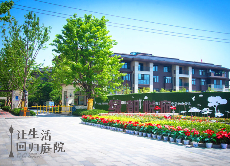 前后张望南阳50年：这样的天井，很难再有了！