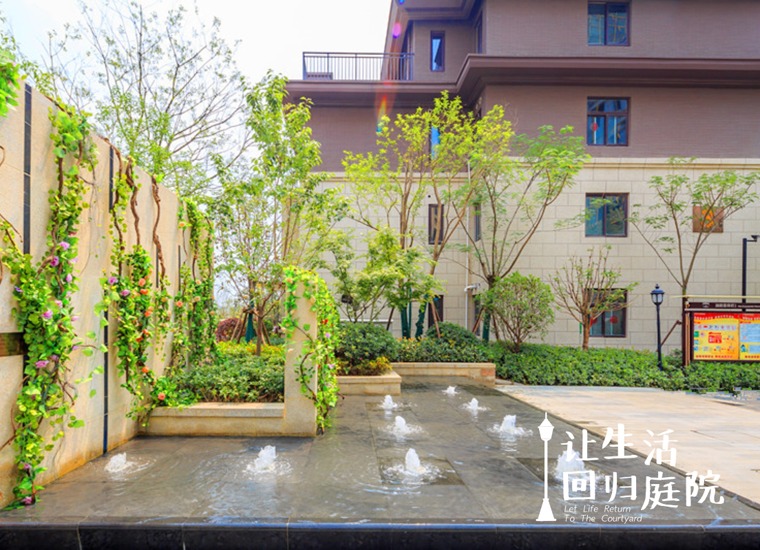 前后张望南阳50年：这样的天井，很难再有了！