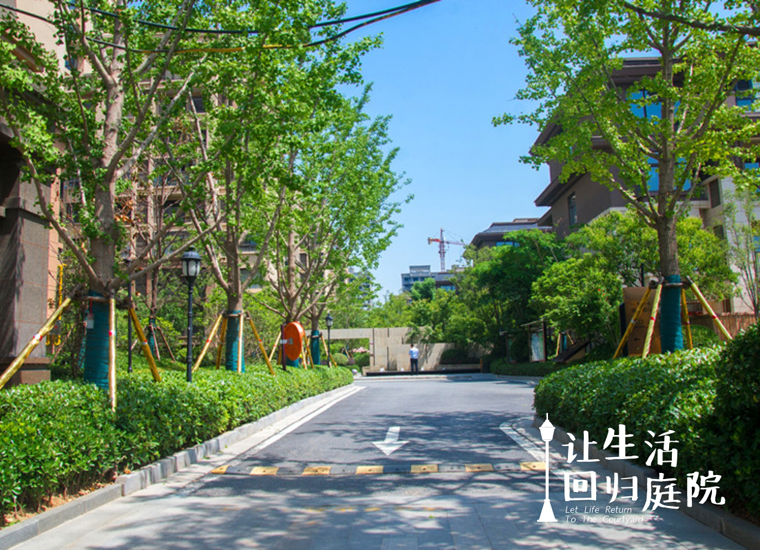 前后张望南阳50年：这样的天井，很难再有了！