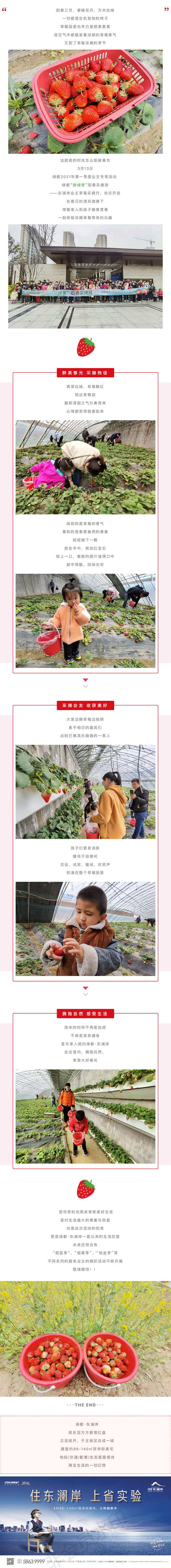 草莓采摘行|“莓”好同业，不负春日好时光